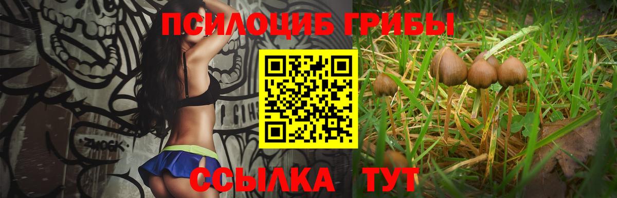 Псилоцибиновые грибы ЛСД Октябрьский